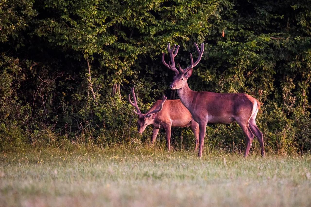 Naturpark Vendeghaz Alsoszolnok 외부 사진